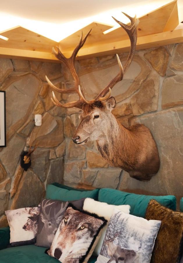 Witkowka Wild Luxury Apartments - Sauna & Spa X Adults Only Witów エクステリア 写真